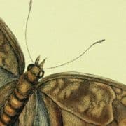 prospettive eretiche